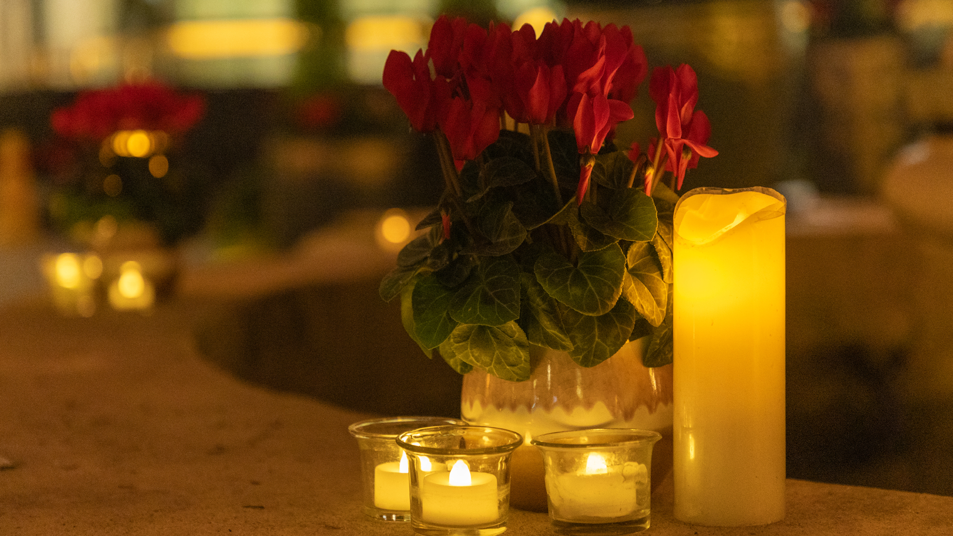 a red flowers in a vase next to candles