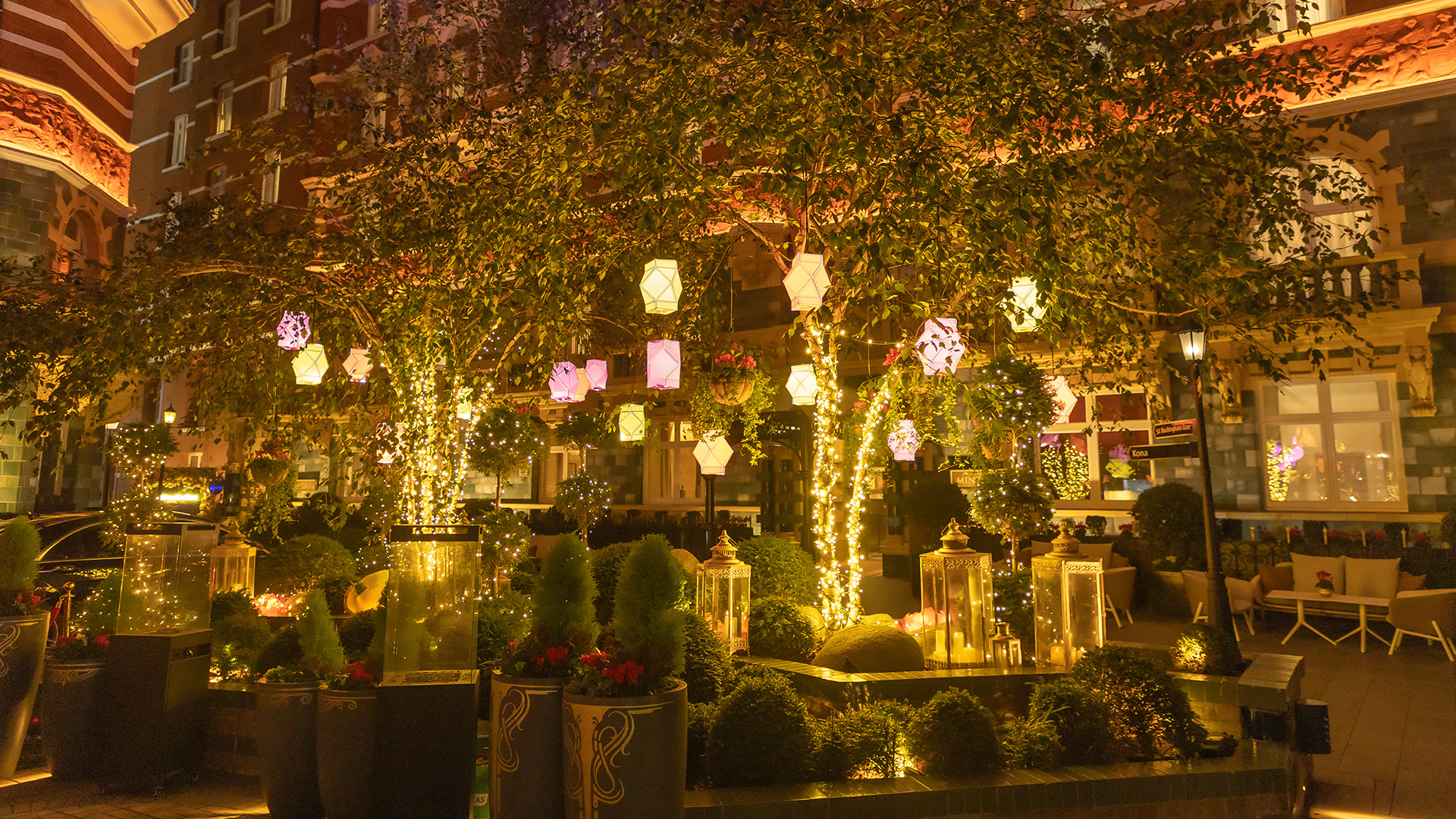 a tree with lights and lanterns