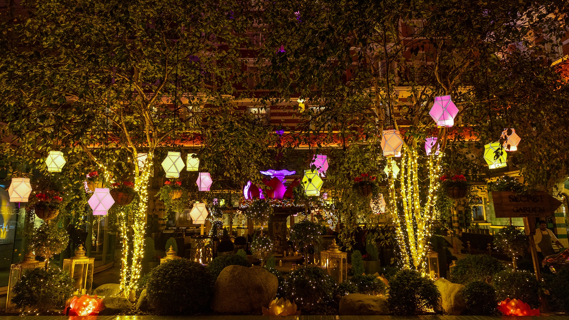 a tree with lights and lanterns