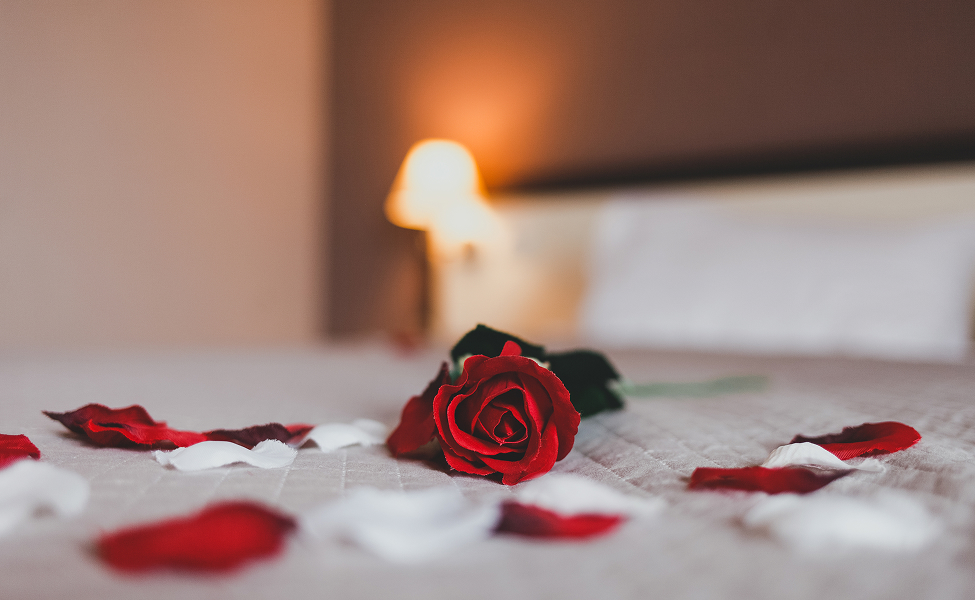 a rose on a bed