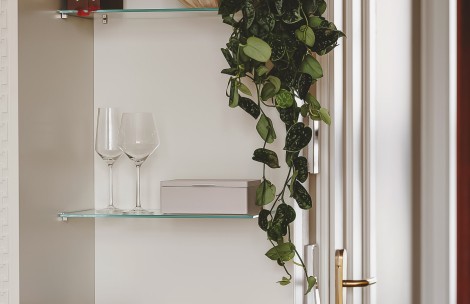 a plant from a shelf