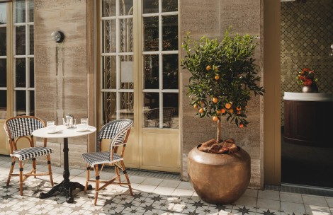 a potted plant with oranges in front of a building