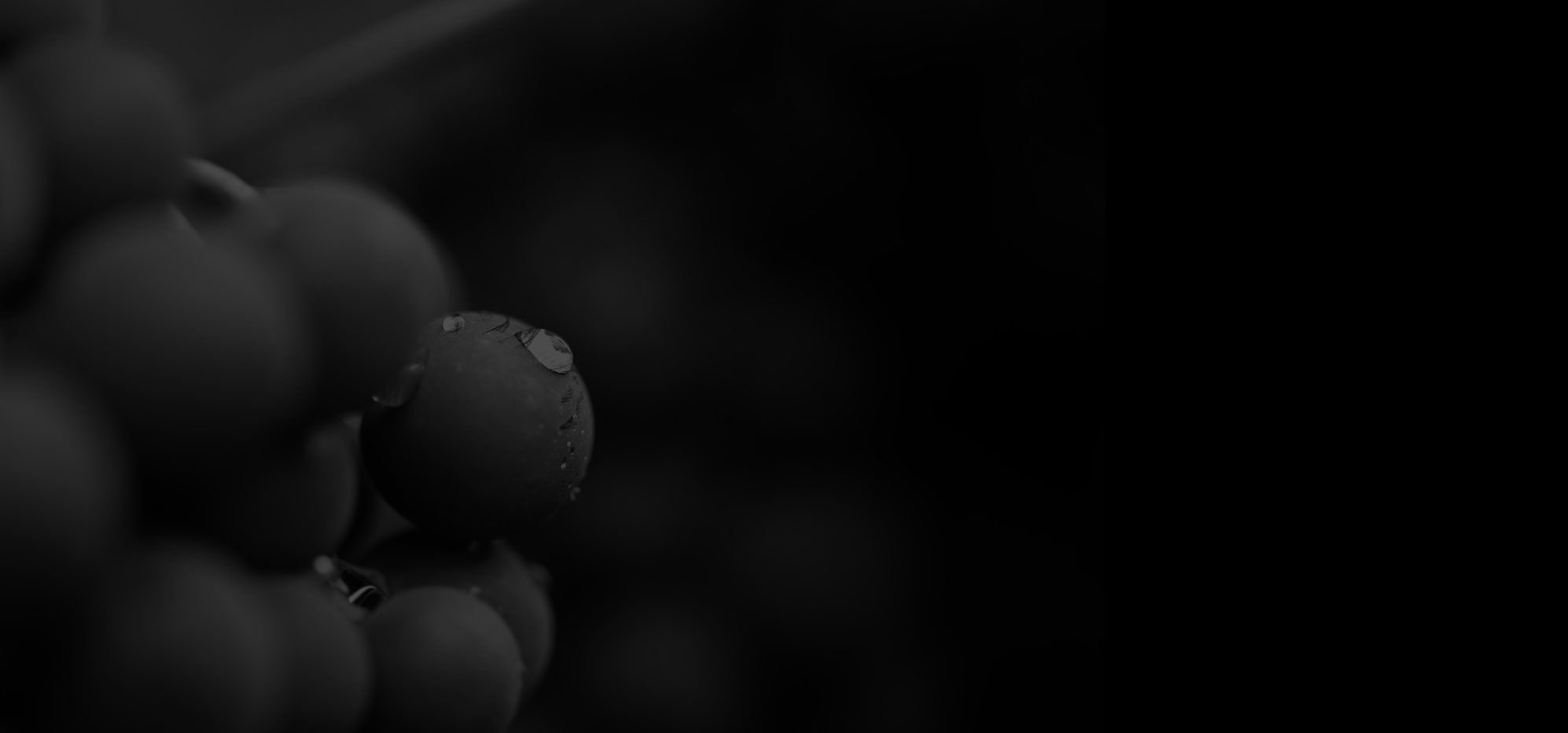 a close up of a black and white photo of a bunch of grapes