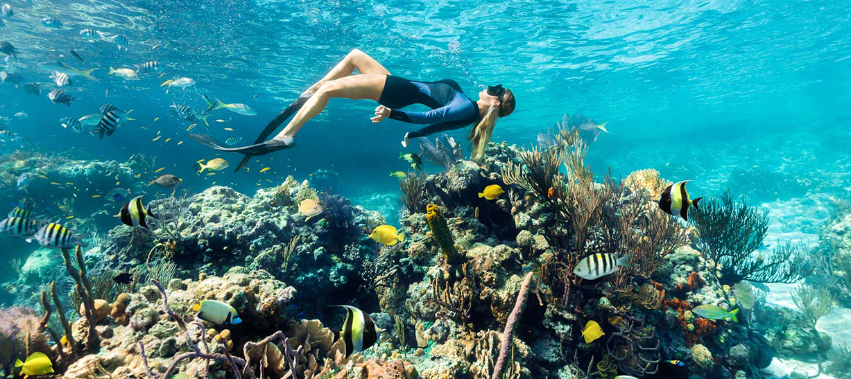 a woman swimming underwater with fish