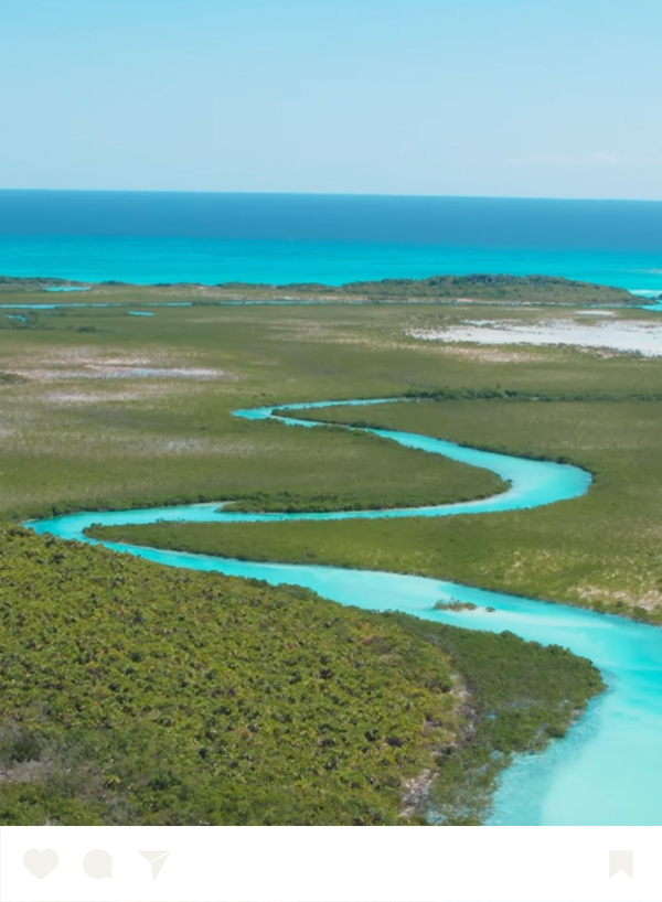 a river running through a grassy area