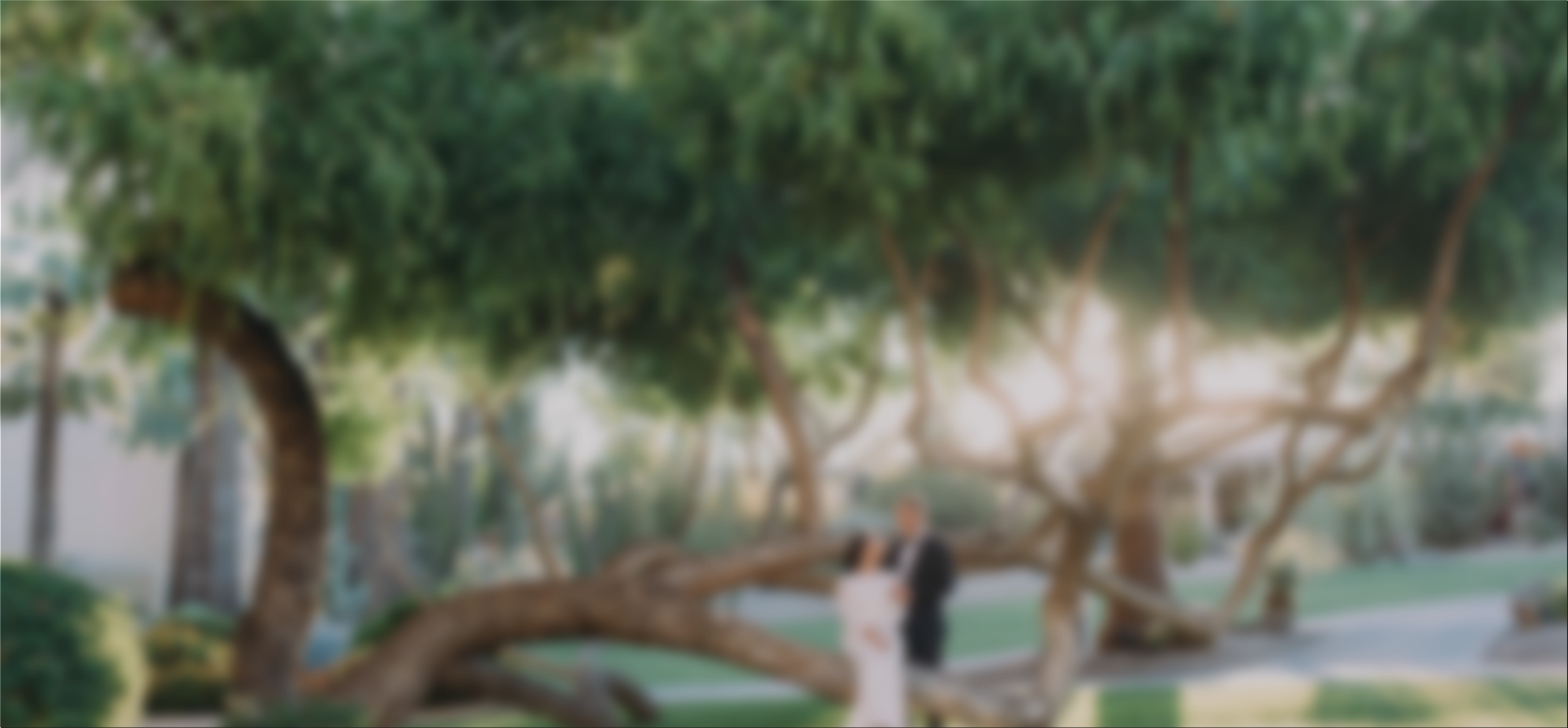 a blurry image of a couple standing under a tree