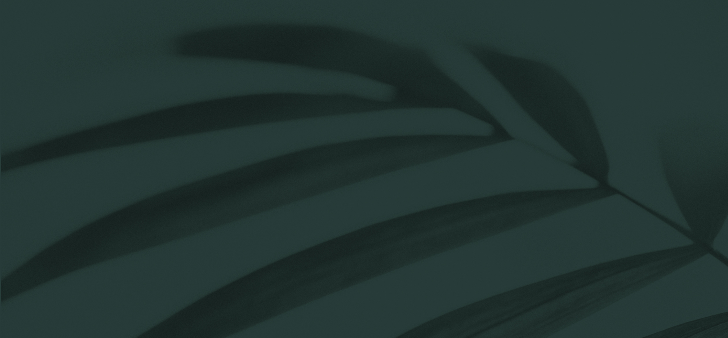 a close up of a green fabric