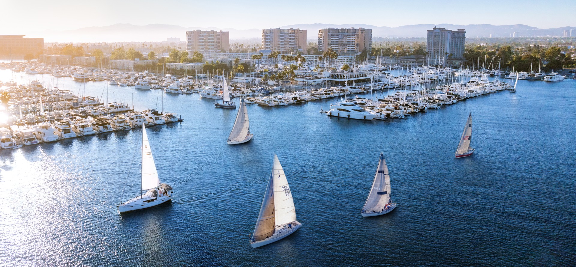 a group of sailboats in a harbor