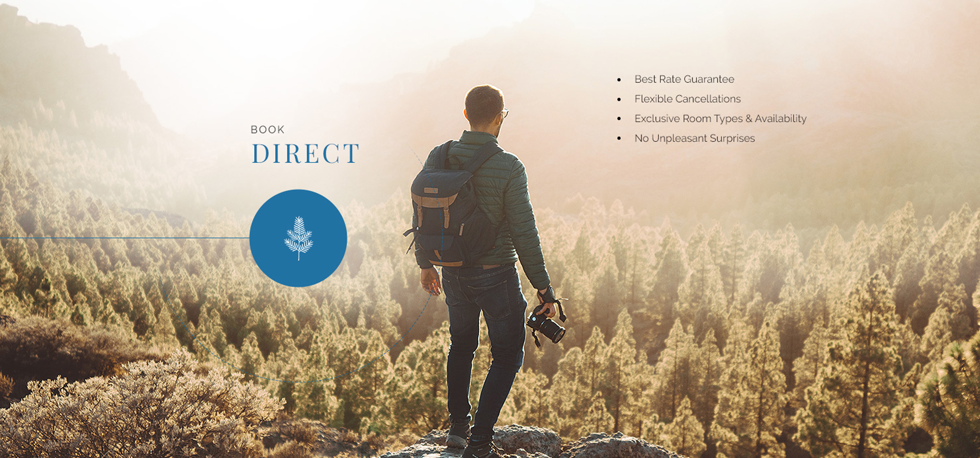 a man standing on a rock looking at trees