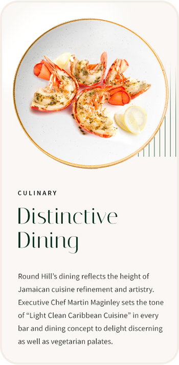 a book cover of a book