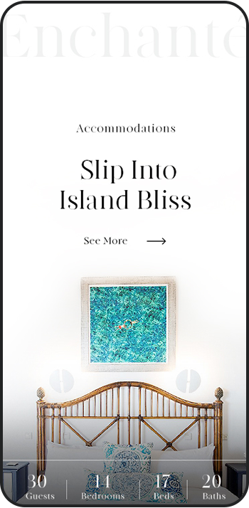 a screen shot of a phone