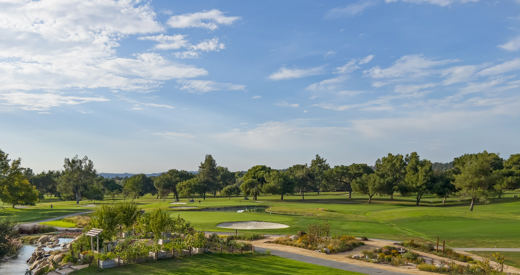 a golf course with a path and trees