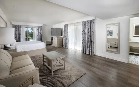 a room with a bed and a television