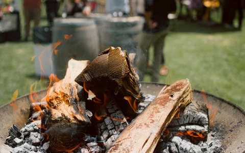 a fire pit with wood burning in it