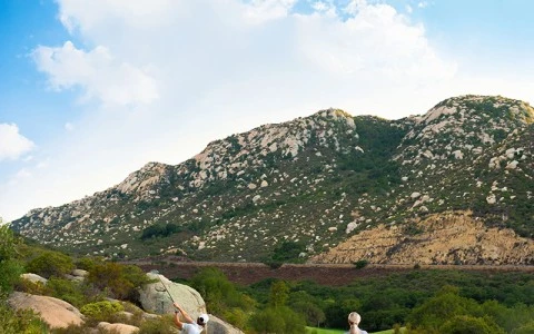 a group of people playing golf