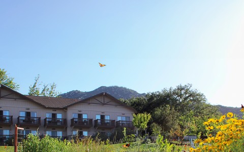 a building with a garden and flowers