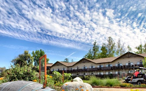 a large barrel in a garden with flowers and a building in the background