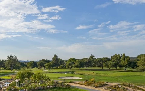a golf course with a pond and trees
