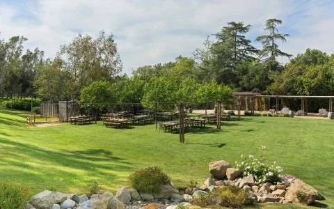 a large lawn with tables and chairs