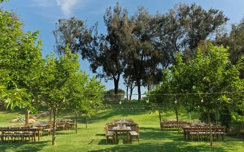 a group of tables in a grassy area