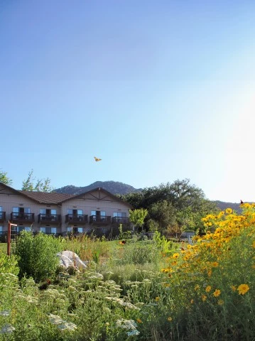 a building with a yellow flower garden
