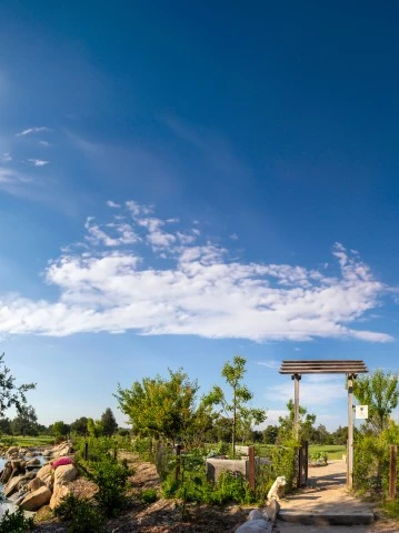 a path leading to a body of water with a wooden arch