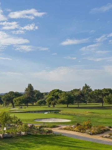 a golf course with a path and trees
