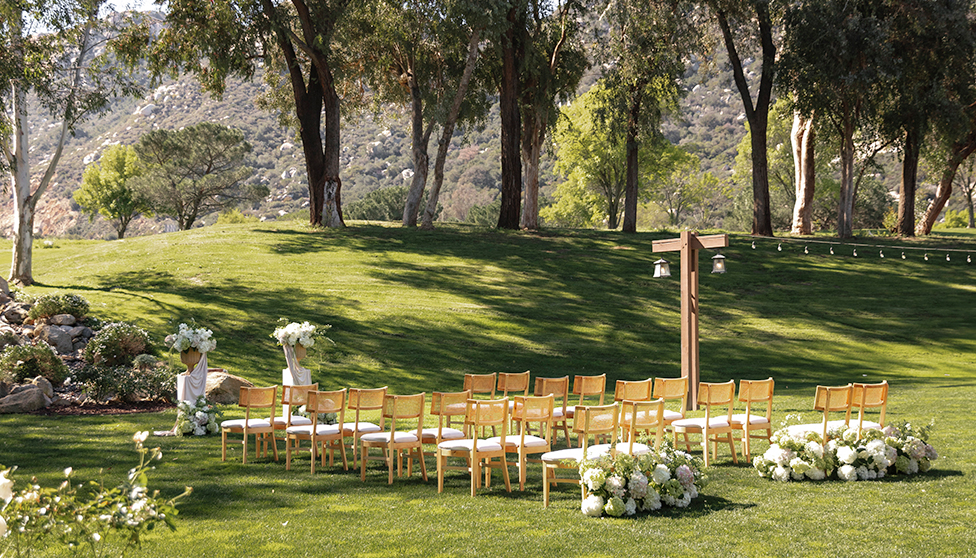 a group of chairs in a field