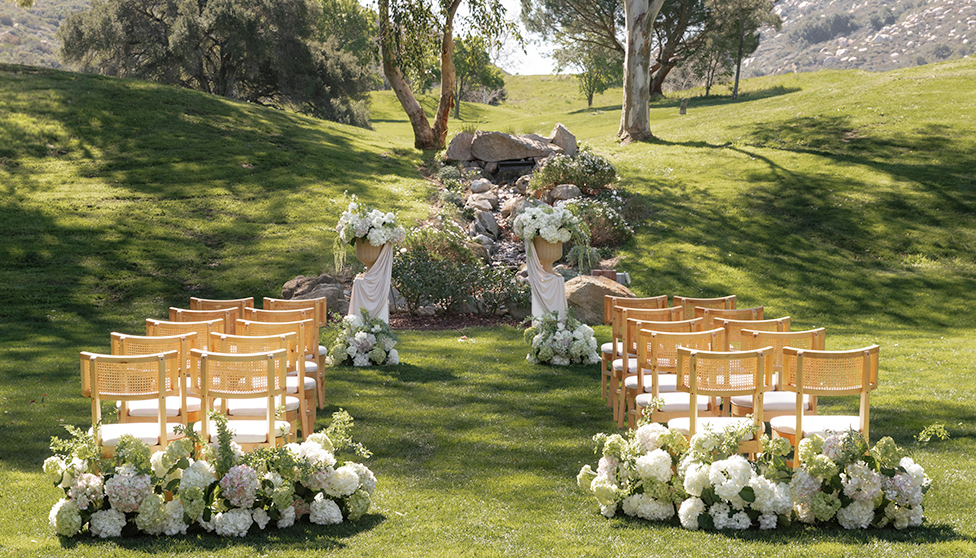 chairs in a field with chairs and flowers