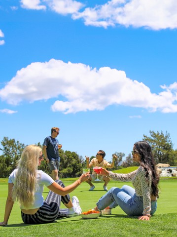a group of people sitting on a grass field with drinks