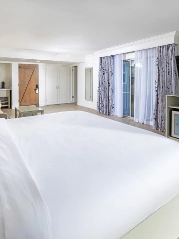 a room with a bed and a television