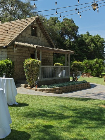 a table set up in a yard