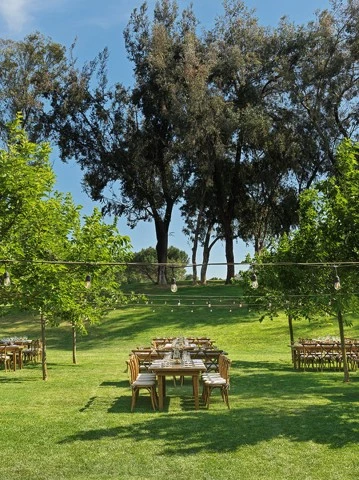 a group of tables and chairs in a grassy area