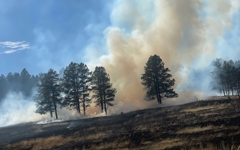 a forest fire with smoke and clouds