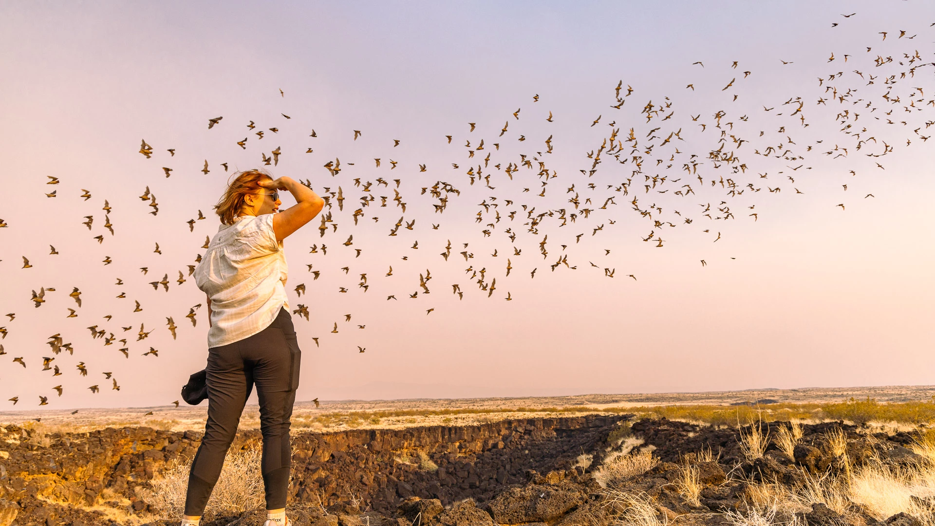 a woman standing on a rocky surface with birds flying in the sky