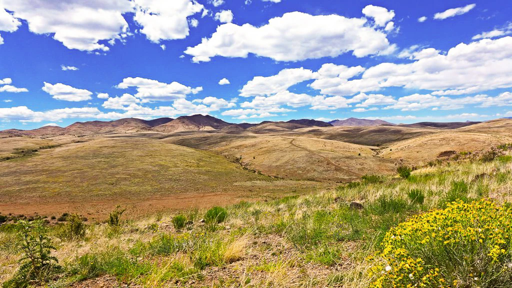 a landscape of a field with hills and blue sky with clouds