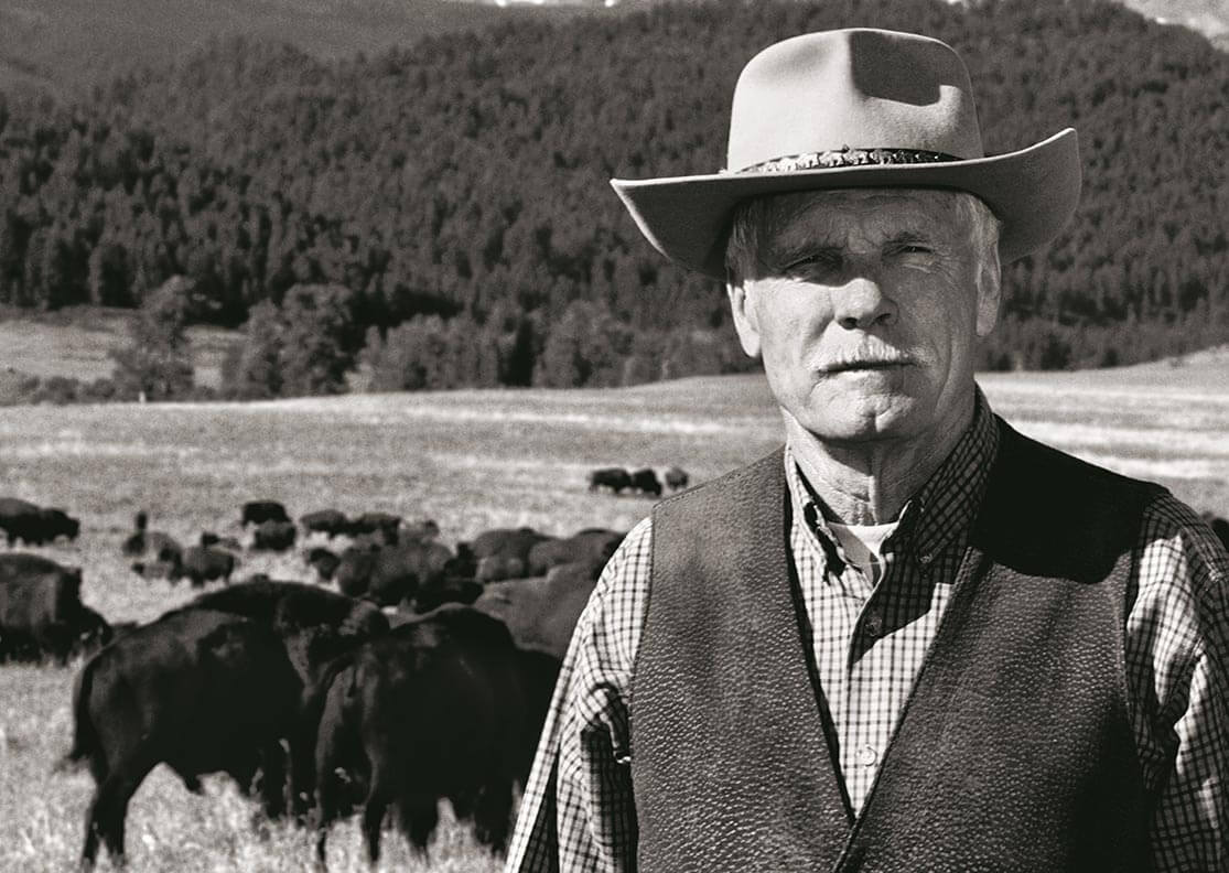 a man in a cowboy hat standing in a field with cows