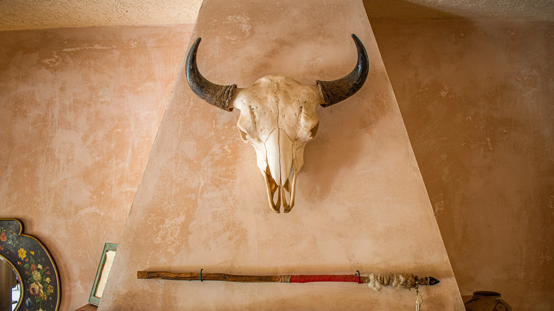 a skull of a bull with horns on a wall