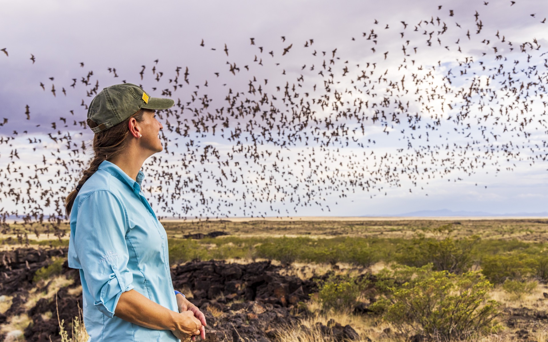 a woman looking at birds flying over a field