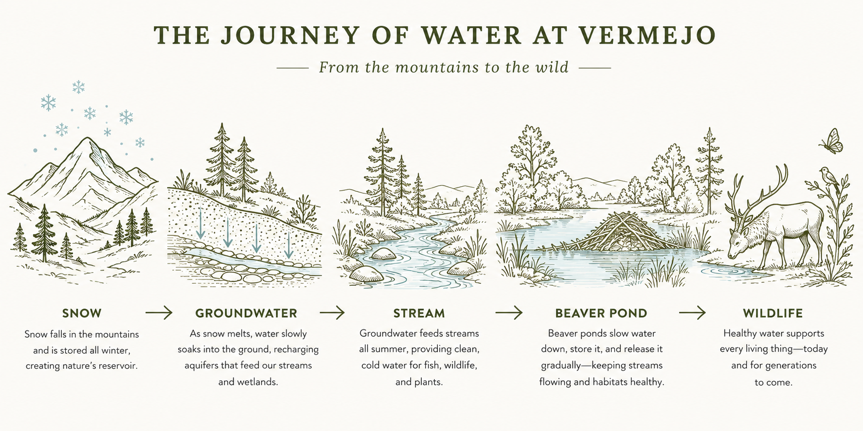 a diagram of a river