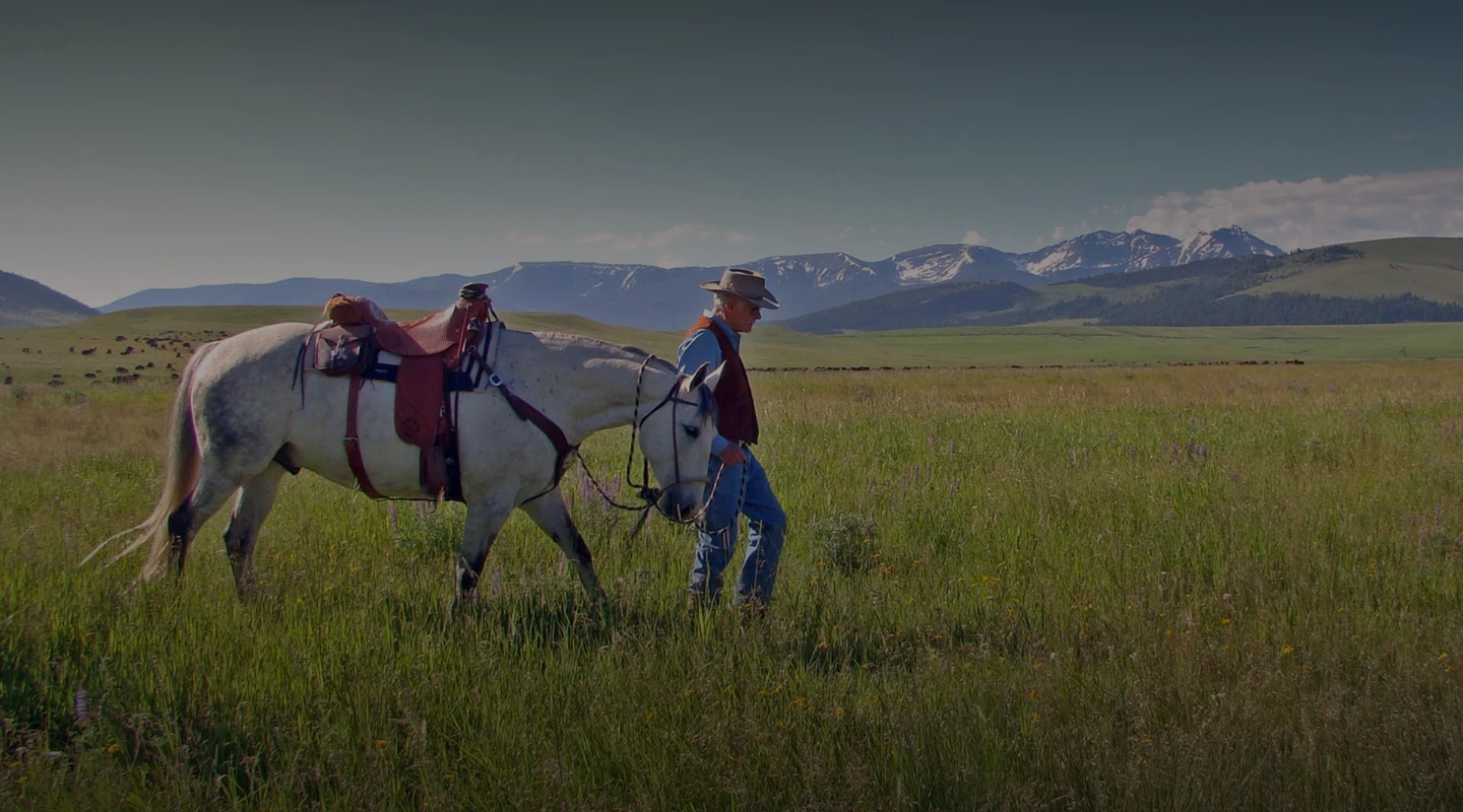 a man walking a horse in a field with mountains in the background