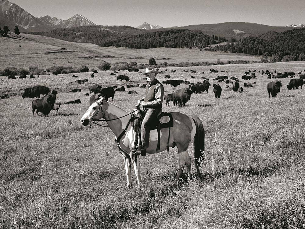 a man riding a horse in a field with many cattle