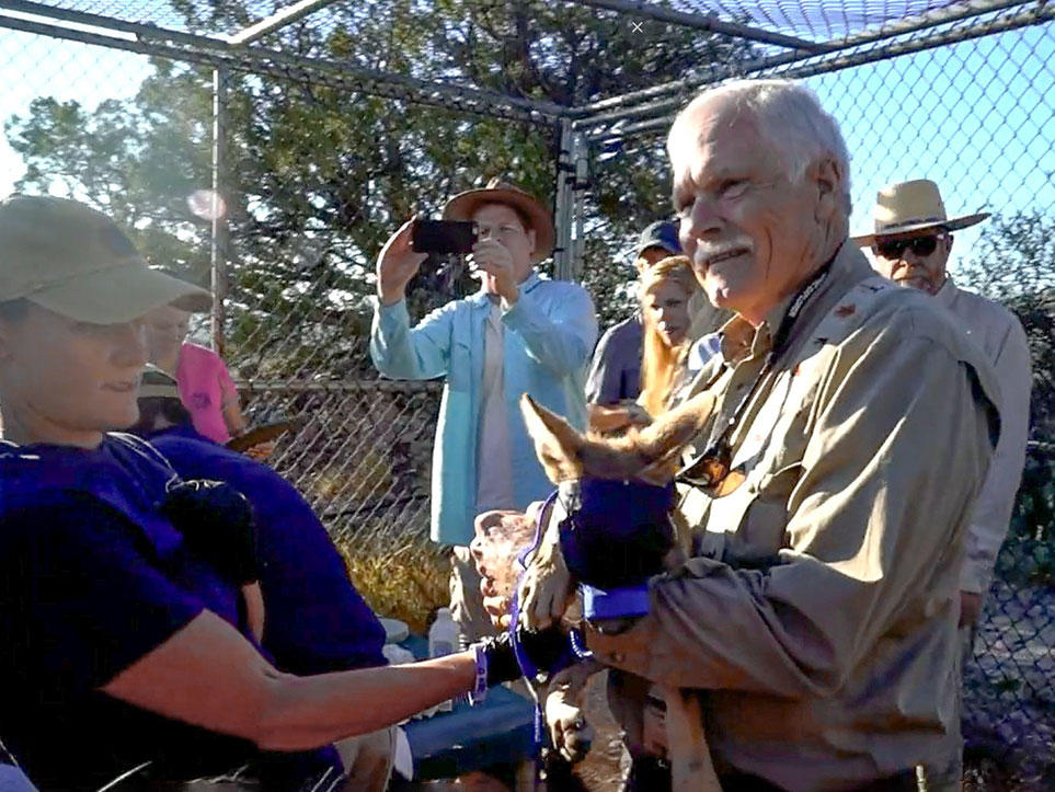 Ted Turner holding a wolf pup