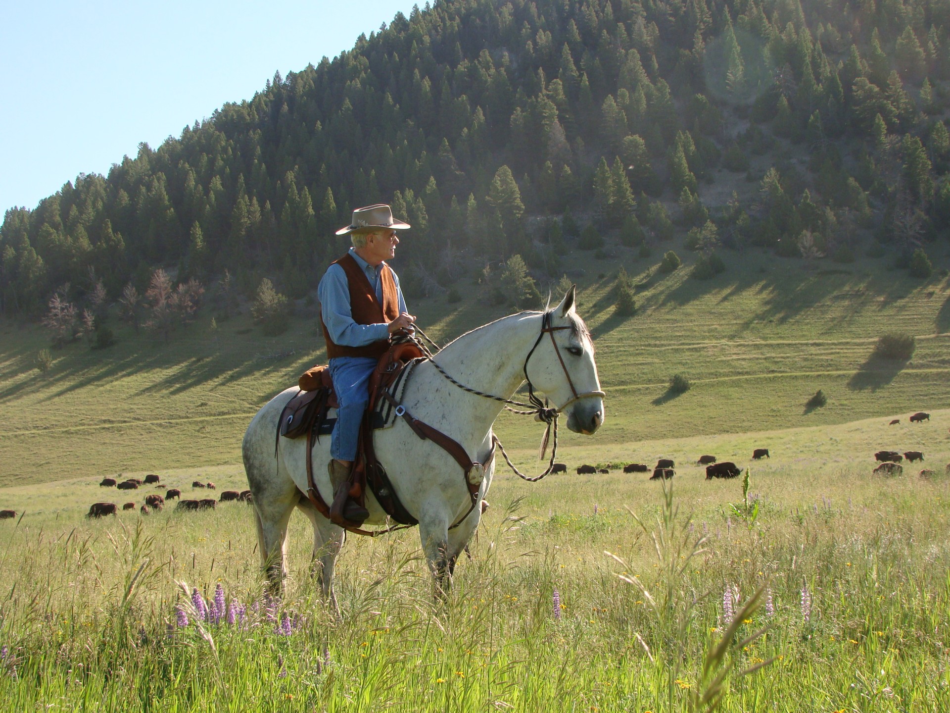 a man riding a horse in a field