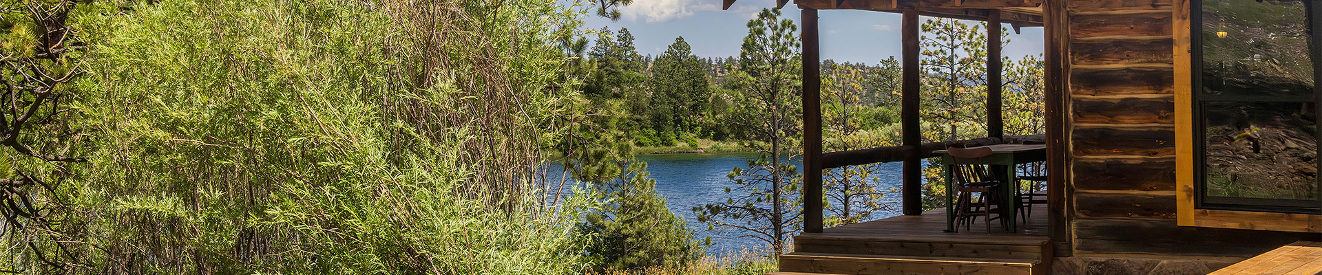 a lake with trees and a house