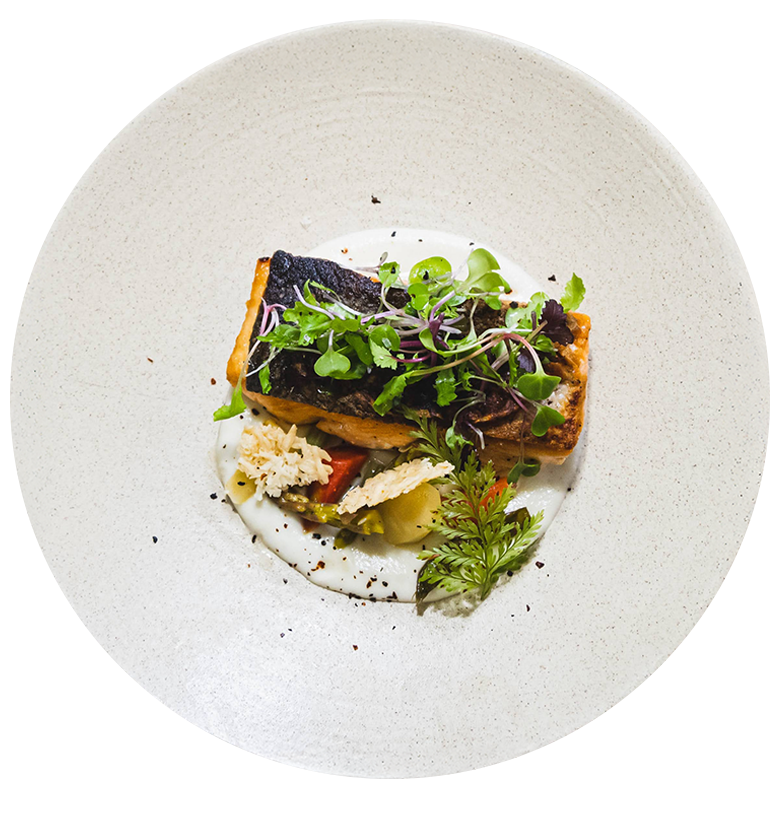 a plate of food on a black background