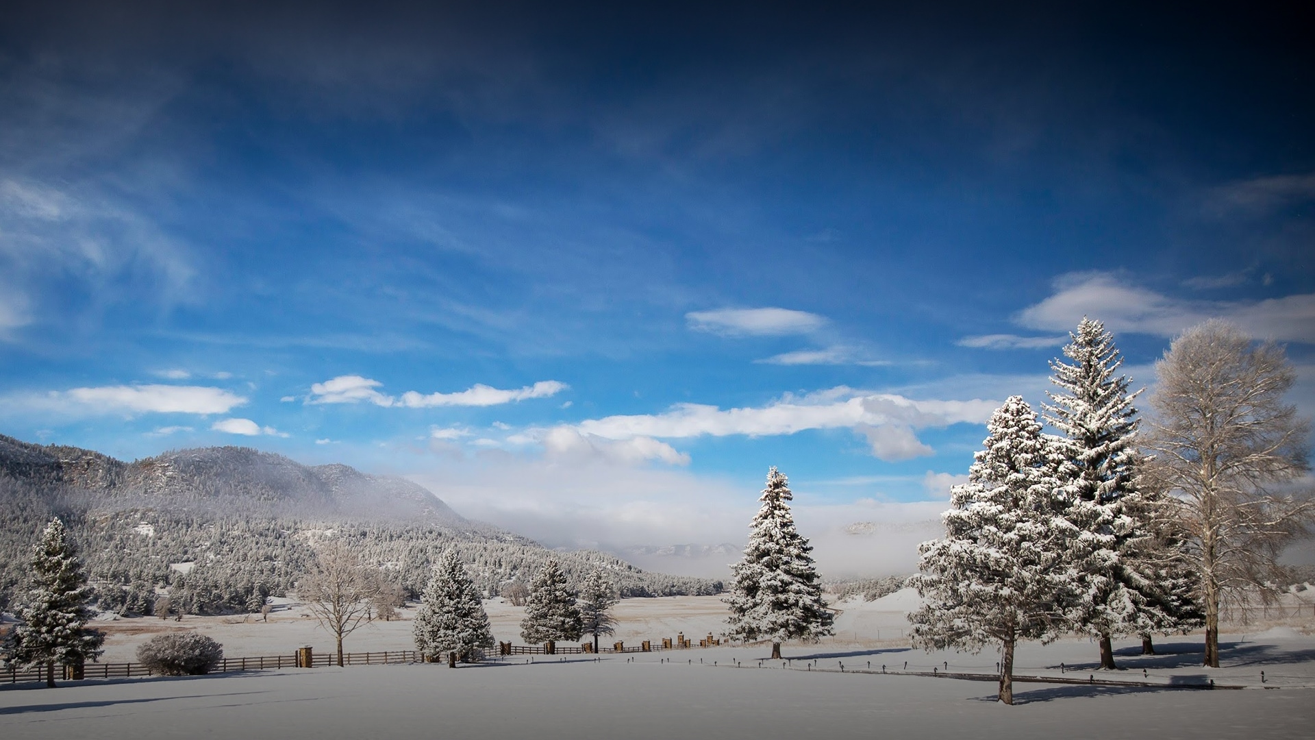 a snowy landscape with trees and mountains