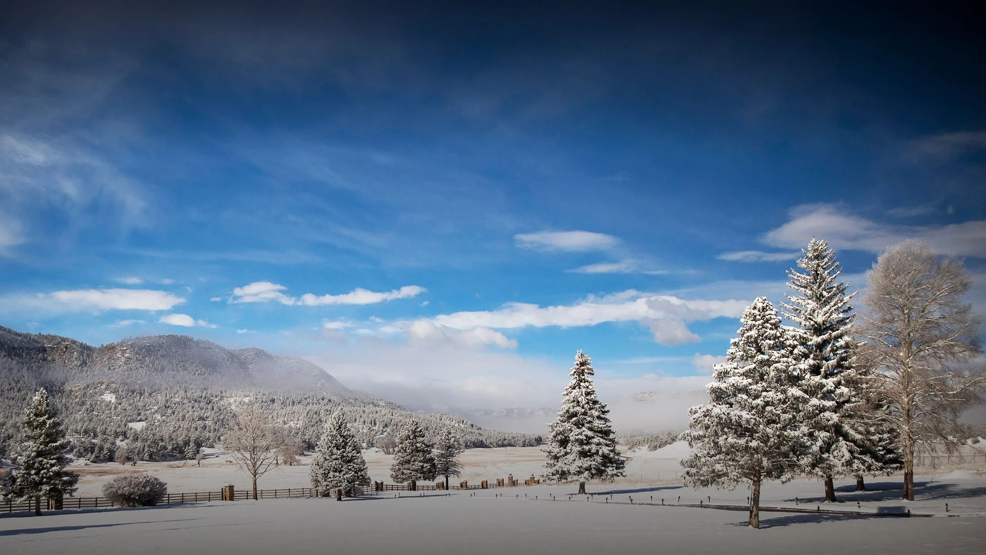 a snowy landscape with trees and mountains