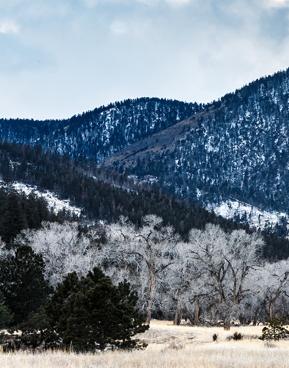 a snowy mountain range with trees