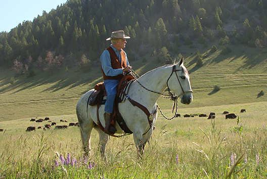 a man riding a horse in a field